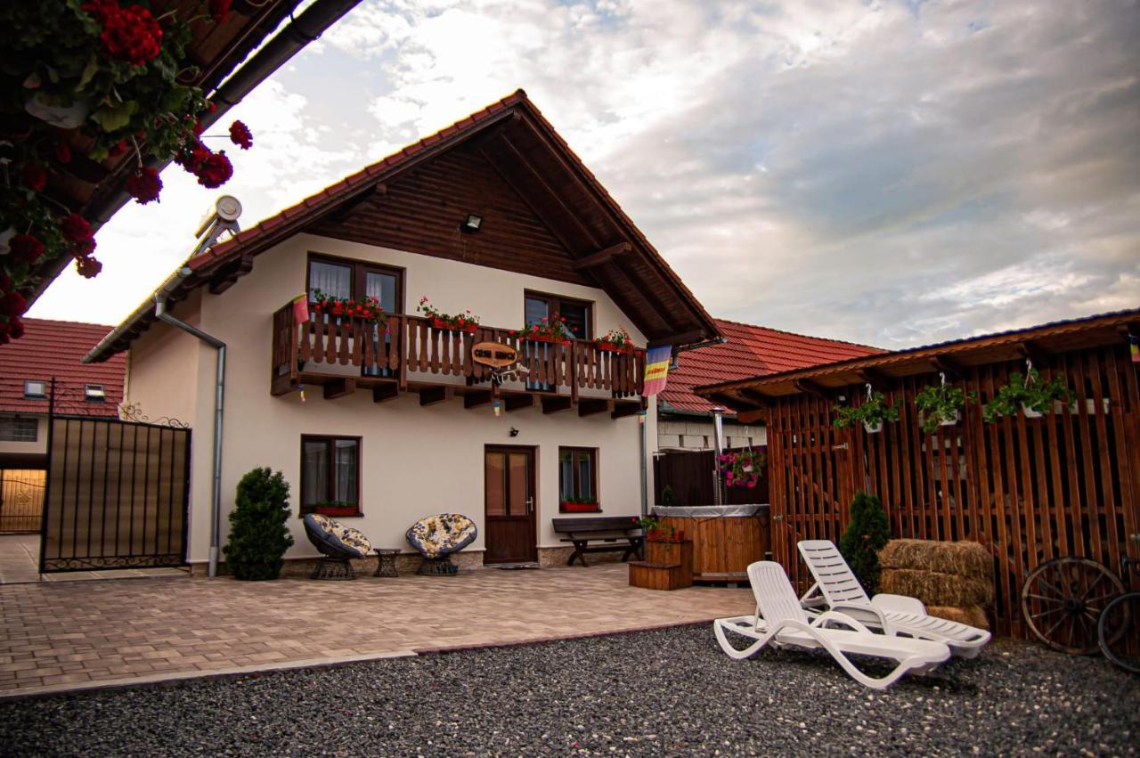 Casa Iancu Hotell Jina Exteriör bild